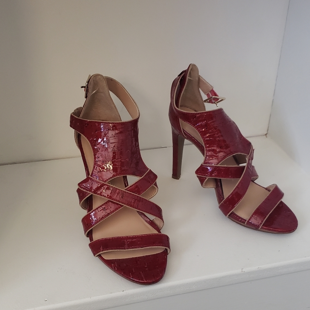 The Limited Heels